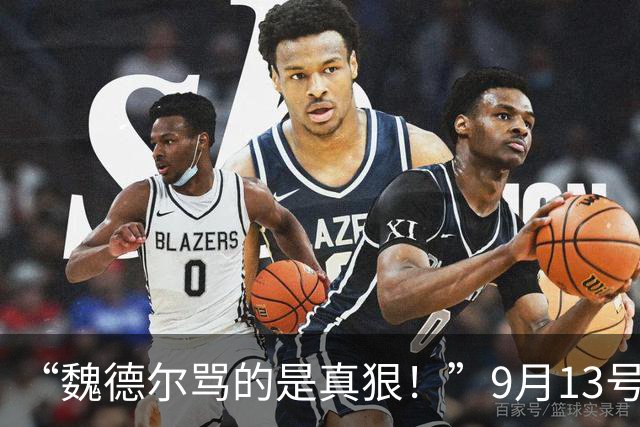 “魏德尔骂的是真狠！”9月13号，魏德尔在奥地利电视台放话：