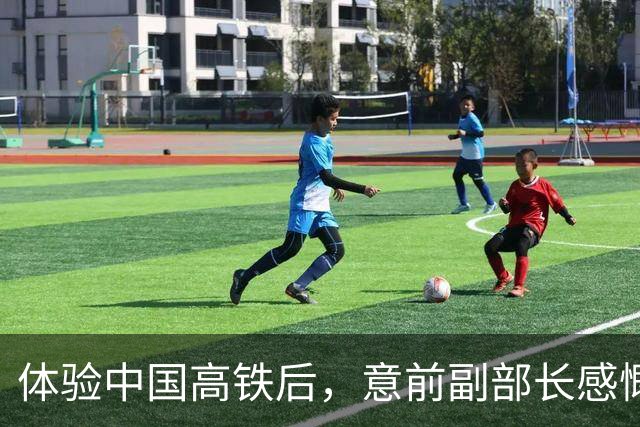 体验中国高铁后，意前副部长感慨：在我们那，，不逃票的人被视为傻子！