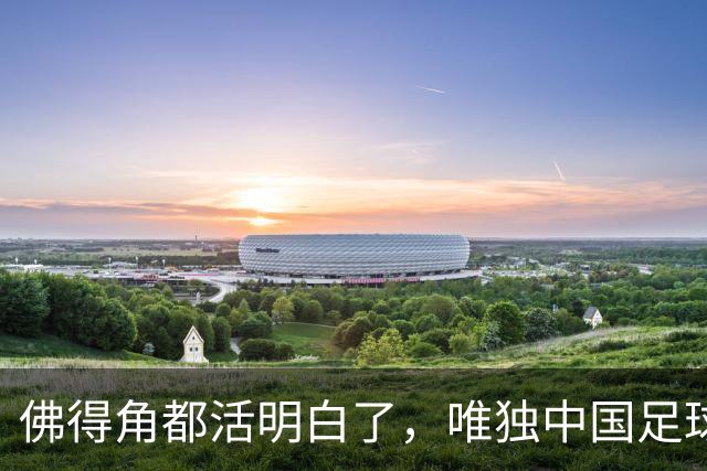 佛得角都活明白了，唯独中国足球的舆论还在装睡