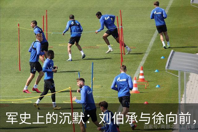 军史上的沉默：刘伯承与徐向前，为何成了毛主席的“例外”？