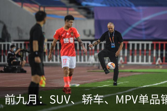 前九月：SUV、轿车、MPV单品销量Top20盘点