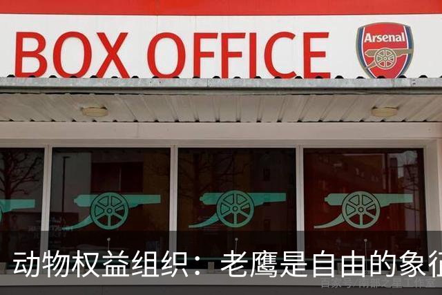 动物权益组织：老鹰是自由的象征，不是水晶宫取悦球迷的道具