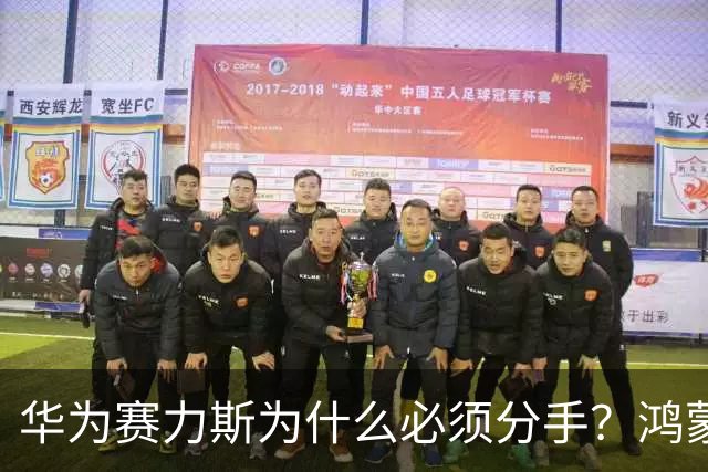 华为赛力斯为什么必须分手？鸿蒙智行这套模式 已经走进了一个死局