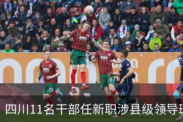 四川11名干部任新职涉县级领导班子