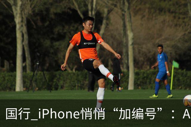 国行 iPhone悄悄“加编号”：Apple 智能 + 通义千问现身入网信息，苹果中文 AI 终于要落地？