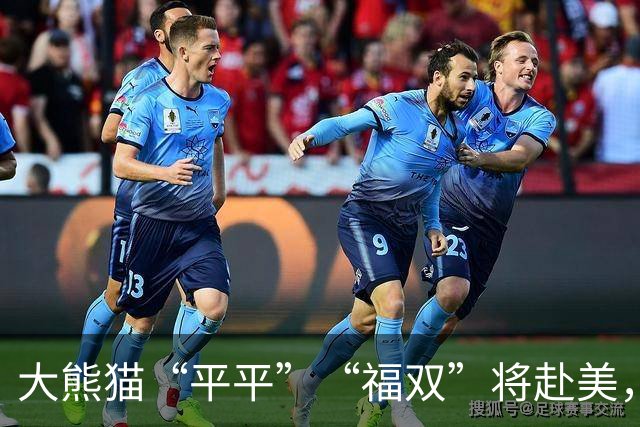 大熊猫“平平”“福双”将赴美，亚特兰大动物园：迫不及待