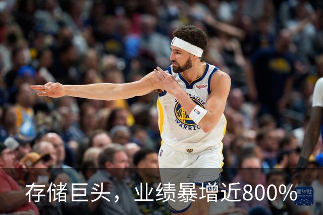 存储巨头，业绩暴增近800%