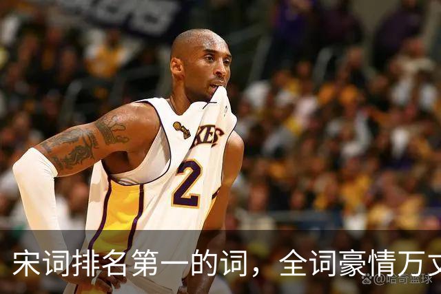 宋词排名第一的词，全词豪情万丈、慷慨激昂，被誉“一词压两宋”