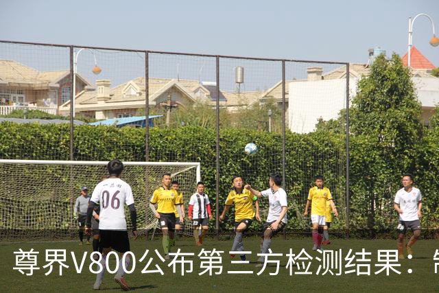 尊界V800公布第三方检测结果：制动踏板未出现损坏