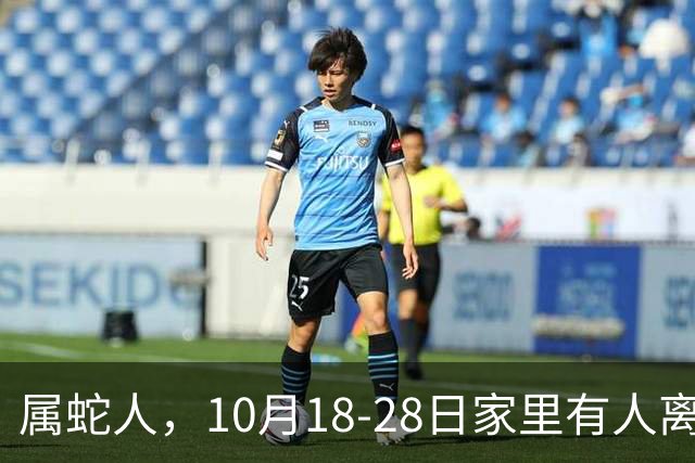 属蛇人，10月18-28日家里有人离开，别哭！是老天帮你清除负担