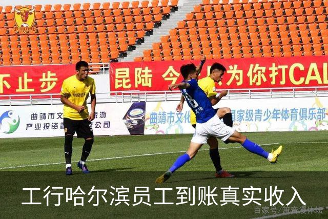 工行哈尔滨员工到账真实收入