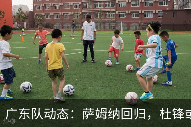 广东队动态：萨姆纳回归，杜锋或将出任国家队主教练？