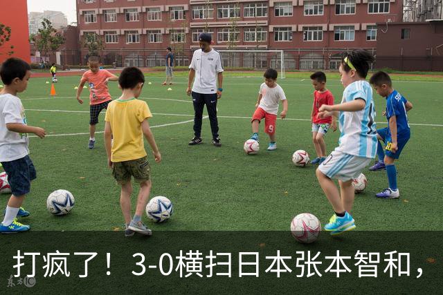 打疯了！3-0横扫日本张本智和，周启豪爆发：4-2又胜韩国张禹珍