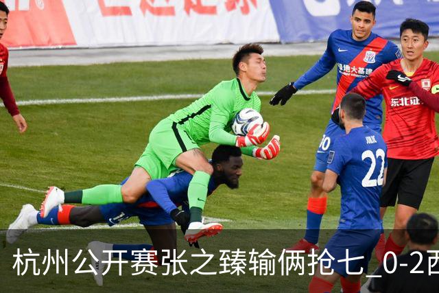 杭州公开赛张之臻输俩抢七 0-2西里奇收获亚军
