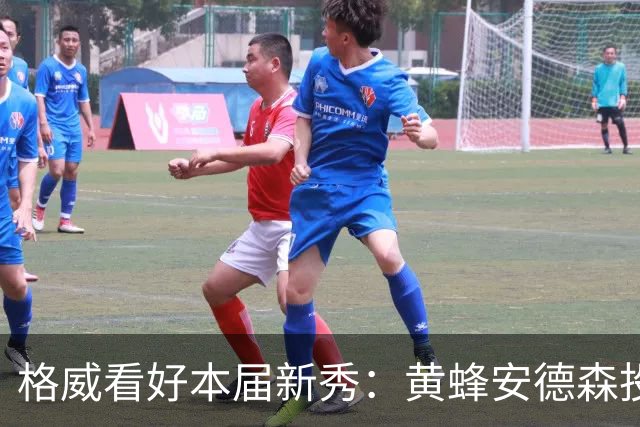 格威看好本届新秀：黄蜂安德森投篮极准 施泰因巴赫也会很优秀