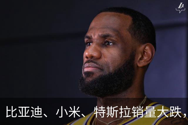 比亚迪、小米、特斯拉销量大跌，新能源轿车销量 Top10 要洗牌？