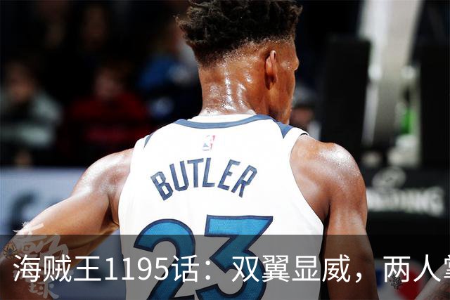 海贼王1195话：双翼显威，两人掌握霸王色！明哥给四皇巴基下跪