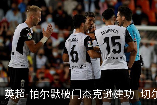 英超-帕尔默破门杰克逊建功 切尔西2-1纽卡斯尔