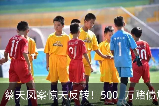 蔡天凤案惊天反转！500 万赌债加6份保险曝光，辩方套路彻底被拆穿