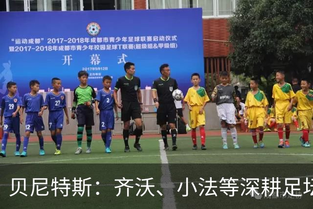 贝尼特斯：齐沃、小法等深耕足坛的人，就是意甲球队最可靠的底气