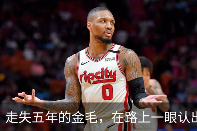 走失五年的金毛，在路上一眼认出主人：是我啊，你终于来接我了！