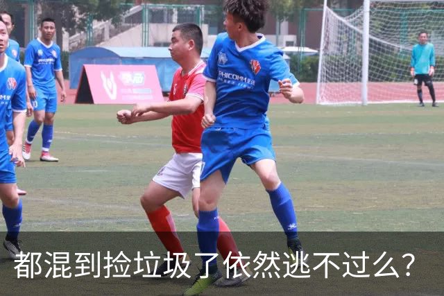 都混到捡垃圾了依然逃不过么？