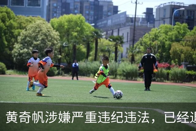黄奇帆涉嫌严重违纪违法，已经退休10年，此前仍活跃于财经界，一个月前还曾公开露面，对于中国金融市场、房地产市场的分析敏锐